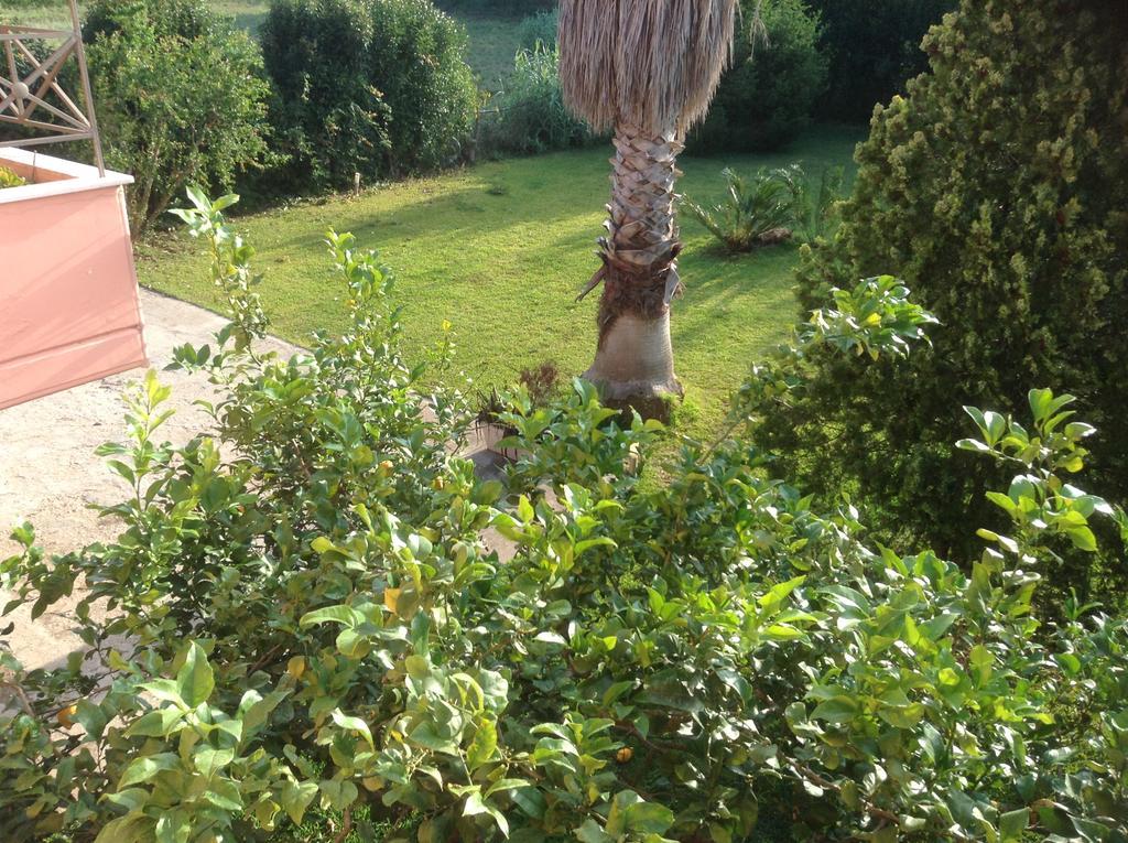 Villa Oneiropagida Preveza Exterior foto
