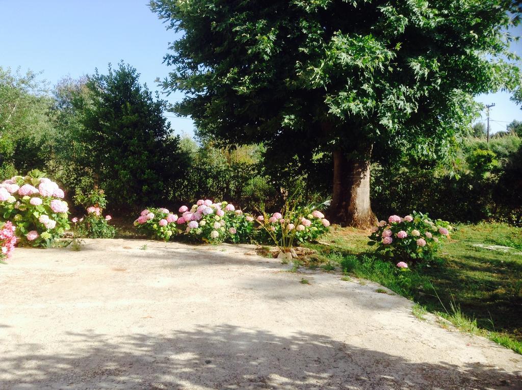 Villa Oneiropagida Preveza Exterior foto